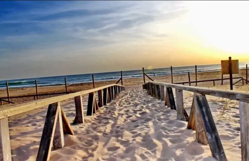 Sandy wooden walkway leading to a tranquil beach at sunset on the Costa de la Luz